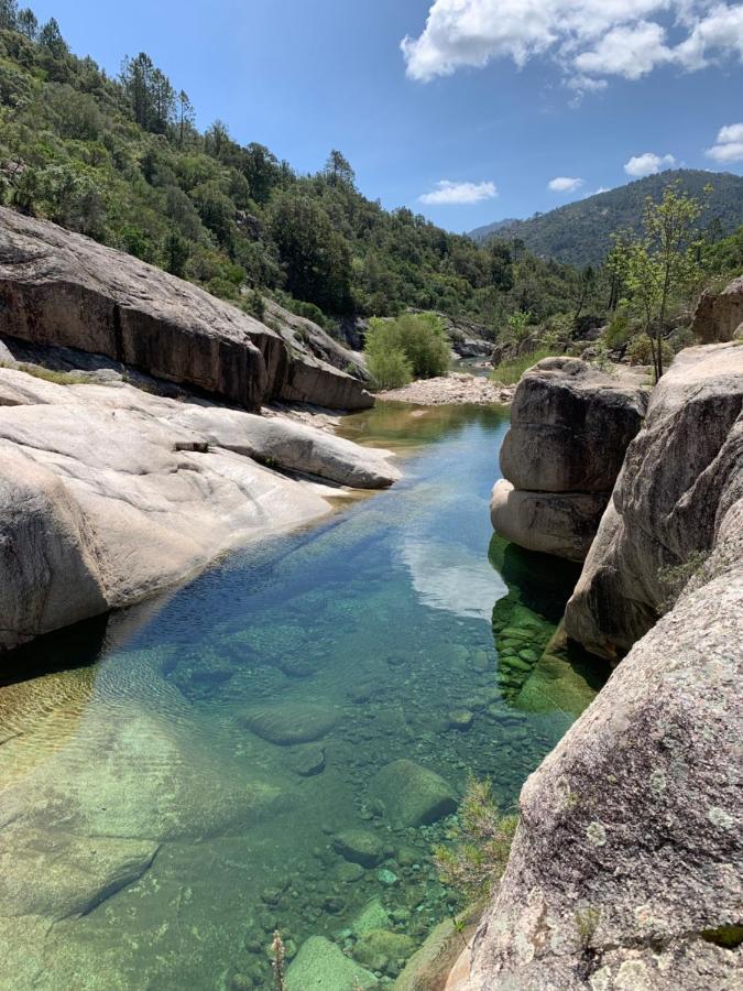 Villa Chez Geraldine Piscine Chauffee, Proche Plage Et Riviere Lecci Dış mekan fotoğraf