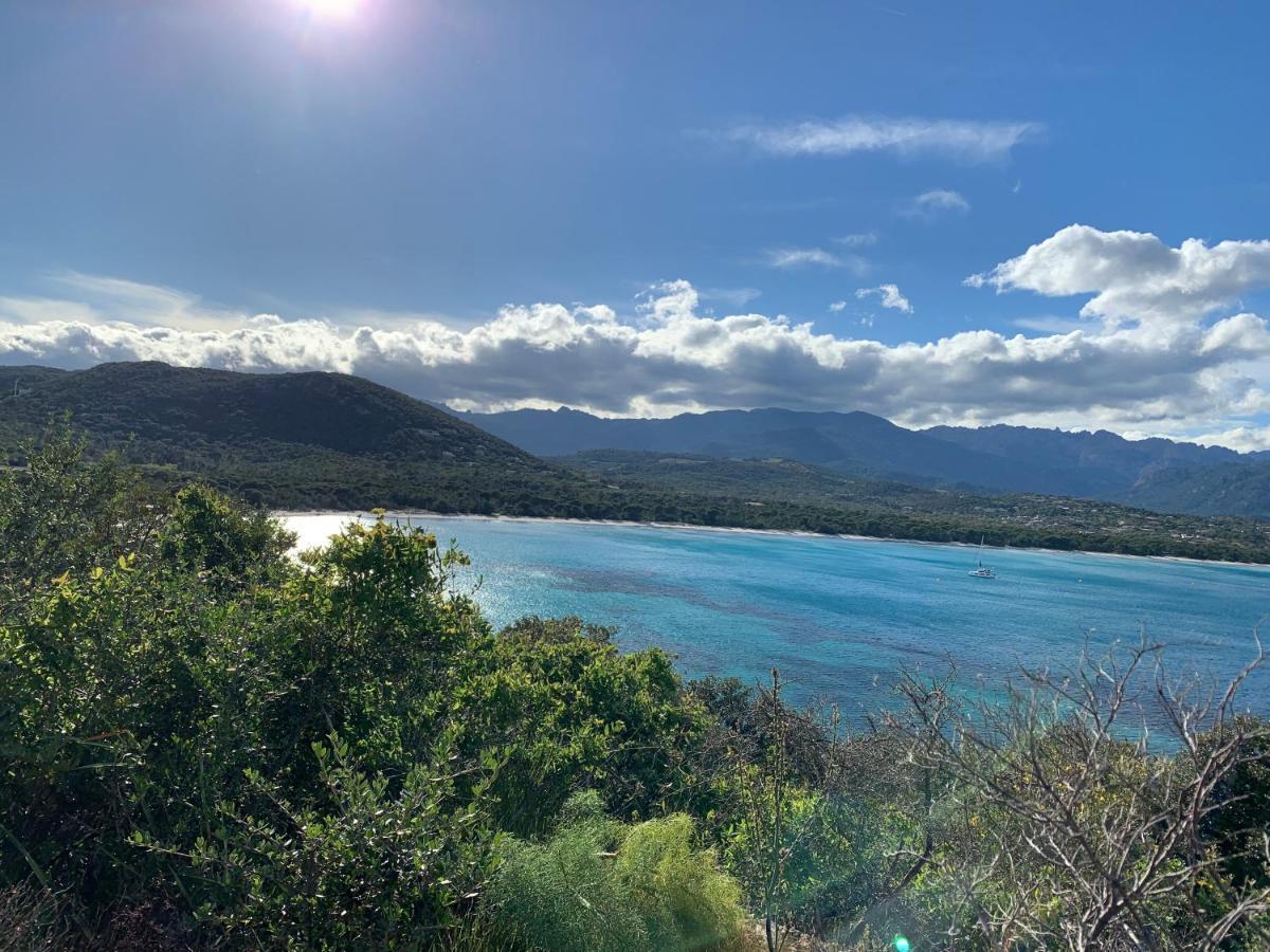 Villa Chez Geraldine Piscine Chauffee, Proche Plage Et Riviere Lecci Dış mekan fotoğraf